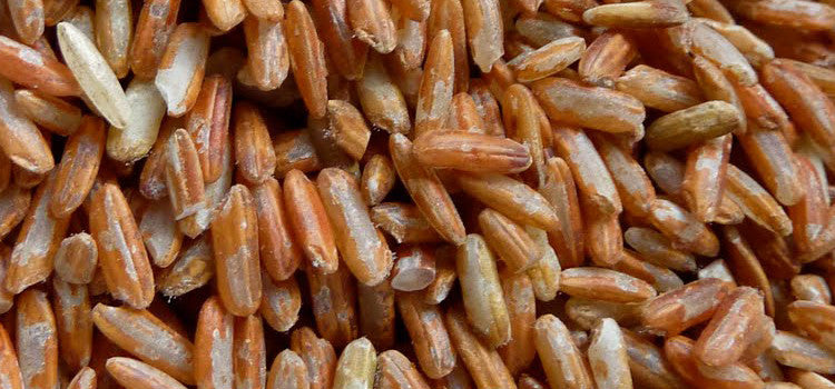 Does Organic Red Rice Have Any Health Benefits?