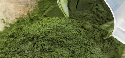 Benefits and properties of Spirulina