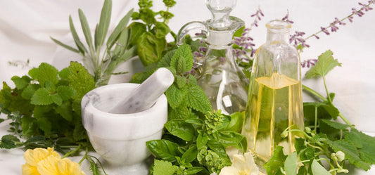 Organic Products Which Can Treat Damaged Hair