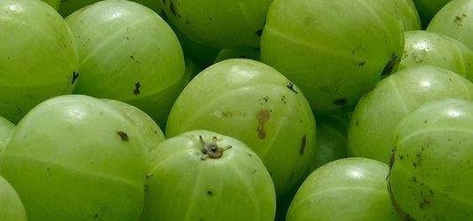 Organic Food, a Better Option for Healthy Digestion