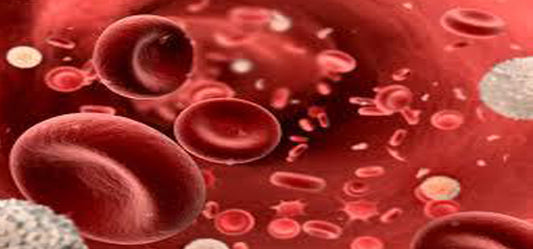 Must Have Foods For Boosting Platelet Count