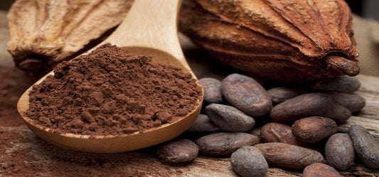 12 Health Benefits Of Cocoa