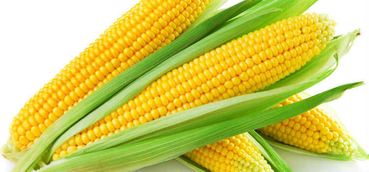 Live a stronger, leaner and a healthier life with crispy corn chips