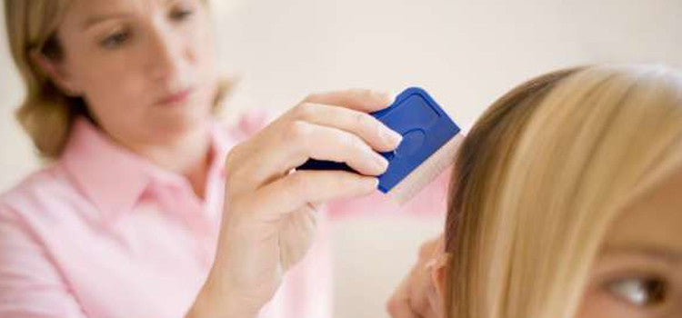 4 Home Remedies For Getting Rid Of Head Lice