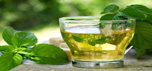 The Miracle Beverage-Green Tea