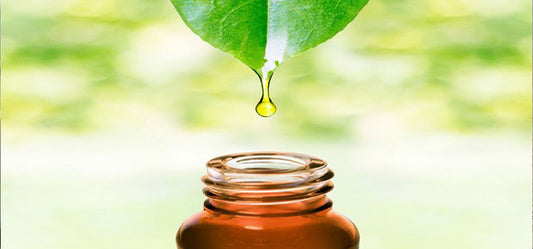 6 Incredible Uses Of Tea Tree Oil