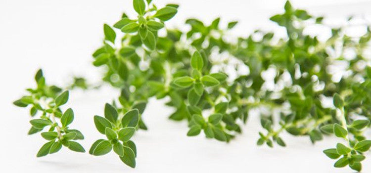 4 Amazing Nutritional Qualities Of Thyme