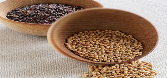 9 Amazing Benefits Of Mustard Seeds