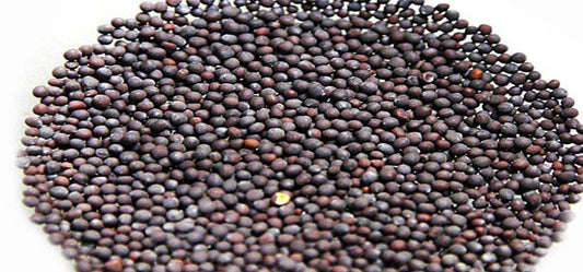Surprising Health and Beauty Benefits Of Mustard Seeds