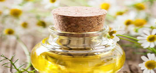 6 Incredible Benefits Of Chamomile Oil You Were Not Aware Of
