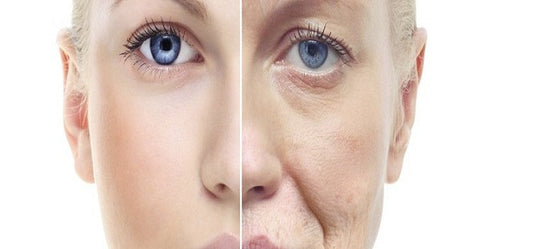 Organic Natural Products For Anti Aging Skin