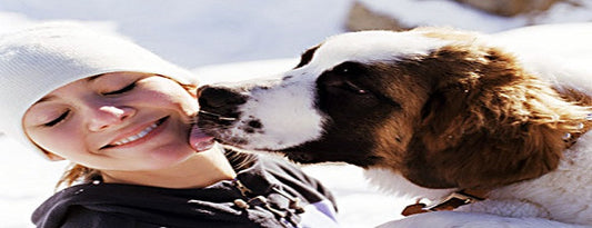 Measures to adopt for the safety of your pet