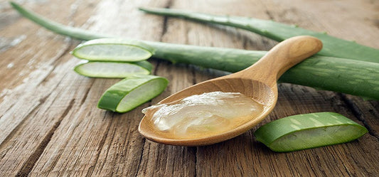 Is Aloe Vera A Natural Healer?