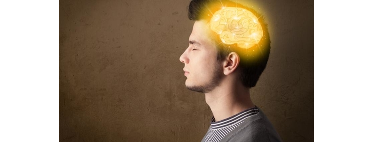 Which organic memory supplements should you take?