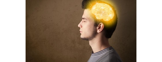 Which organic memory supplements should you take?