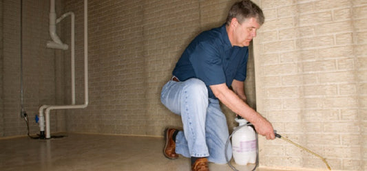 Home remedies to get rid of pests
