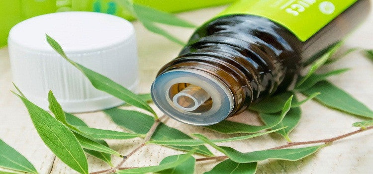 Herbal Oil: How Tea Tree Oil Is Beneficial