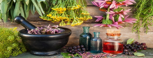 Why Herbal Infusions Are The Next Best Thing