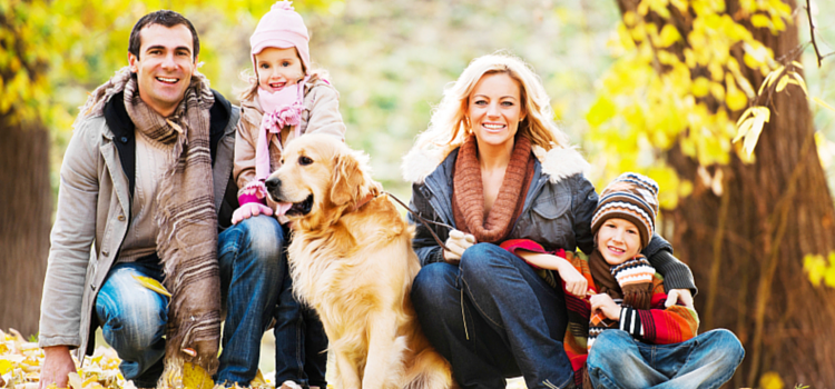 The Right Pet Safety Equipment for Your Pet