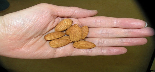 Are almonds really good at helping you lose weight