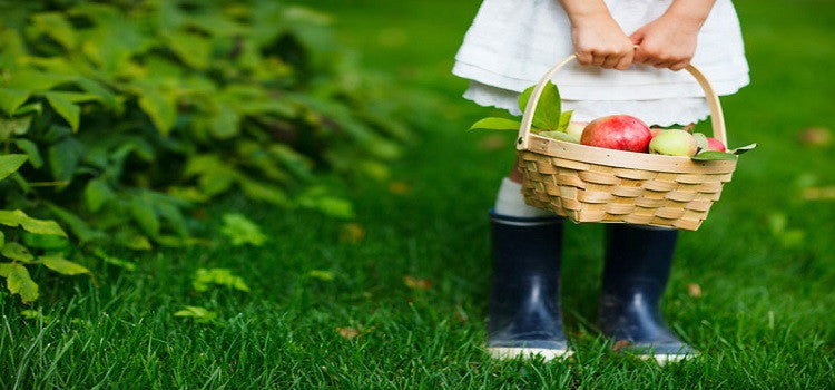 Live A Healthier Lifestyle With Organic Products