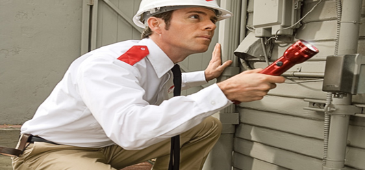 Own A Wooden House-Do Not Compromise With Termite Infestations