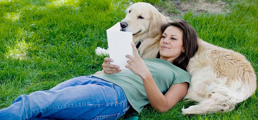 Pet Safety Is What You Must Take Care Of After Adopting Pets