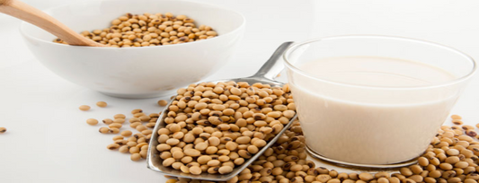 Why Soya Products Are Good For Your Health