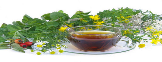 Medicinal effects of herbal tea