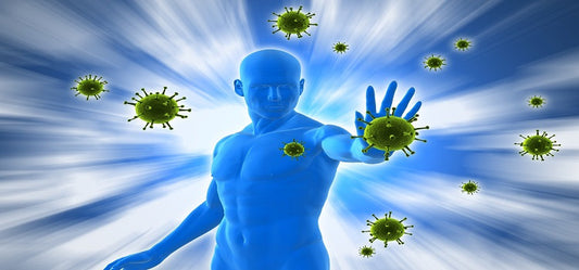 Is Strong Immune System A Reflection Of Good Health?