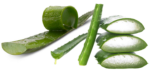 Aloe Vera As A Hair Conditioner