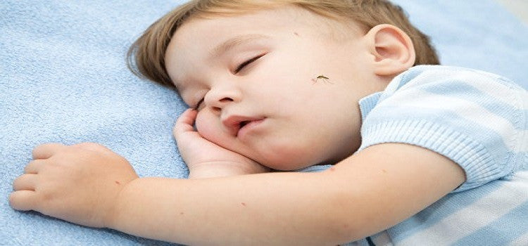 Protect Your Baby from Mosquito Bites