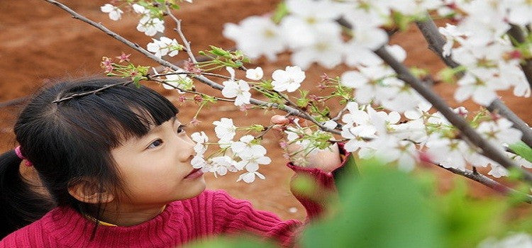 Give Your Brain A Direction With Sense Of Smell- Aromatherapy