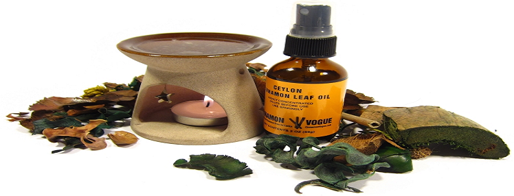 6 Unexpected Benefits Of Diffuser Oils (They Even Scare Away Mosquitoes!)