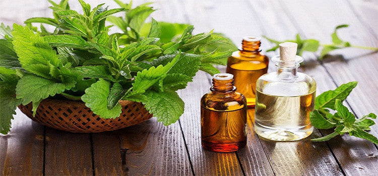 Looking For Dermatologist? Tea Tree Oil Is the Natural One