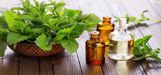 Looking For Dermatologist? Tea Tree Oil Is the Natural One