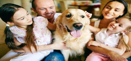 Living With A Pet