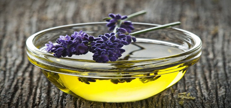 Why We Should Use Lavender Essential Oil?