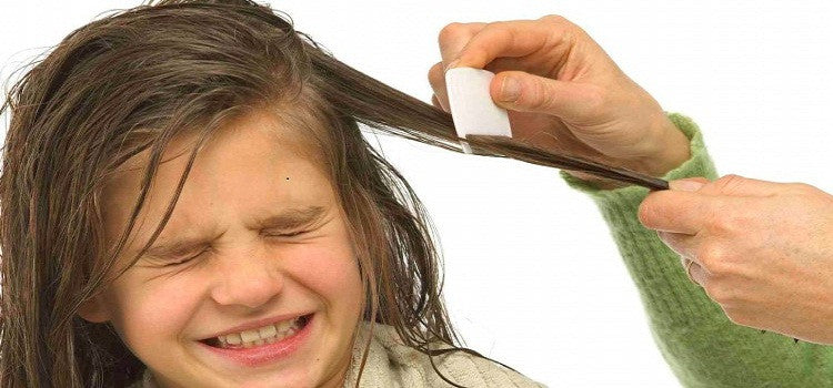 Organic Treatment To Remove Nits & Lice From Hair
