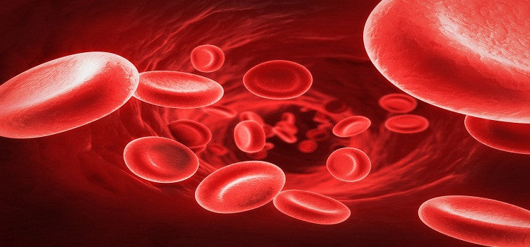 If I Suffer From Skin Allergies Should I Purify My Blood Naturally?