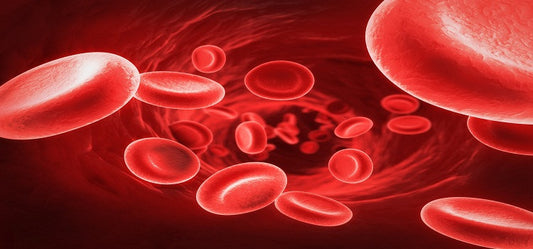 If I Suffer From Skin Allergies Should I Purify My Blood Naturally?