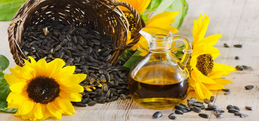 Sunflower Oil- Nature’s way to boost your immunity