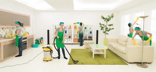 Cleanliness Is Next To Godliness In Any Home