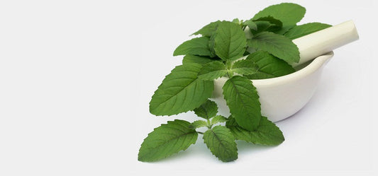 Why A Tulsi Tea A Day Will Keep The Doctor Away
