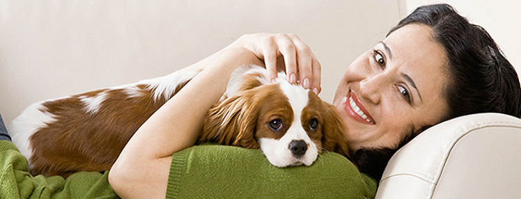 Taking Care of pets With Pet Insect Repellent