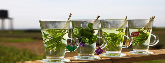 How Herbal Infusions Can Change Your Life