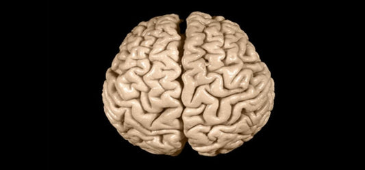 How To Develop Left And Right Brain