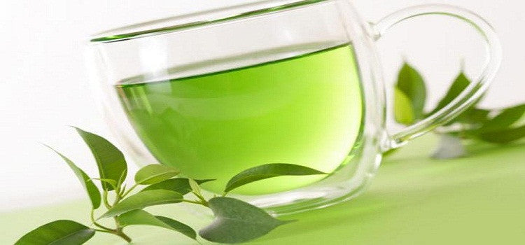 Why Should Everyone Drink Green Tea