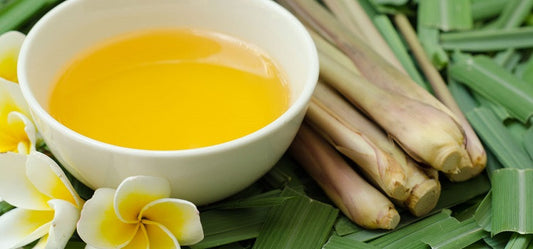 Citronella Oil:  The Best Way To Prevent Mosquitoes