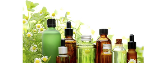 7 Carrier Oils that you should definitely have and use!